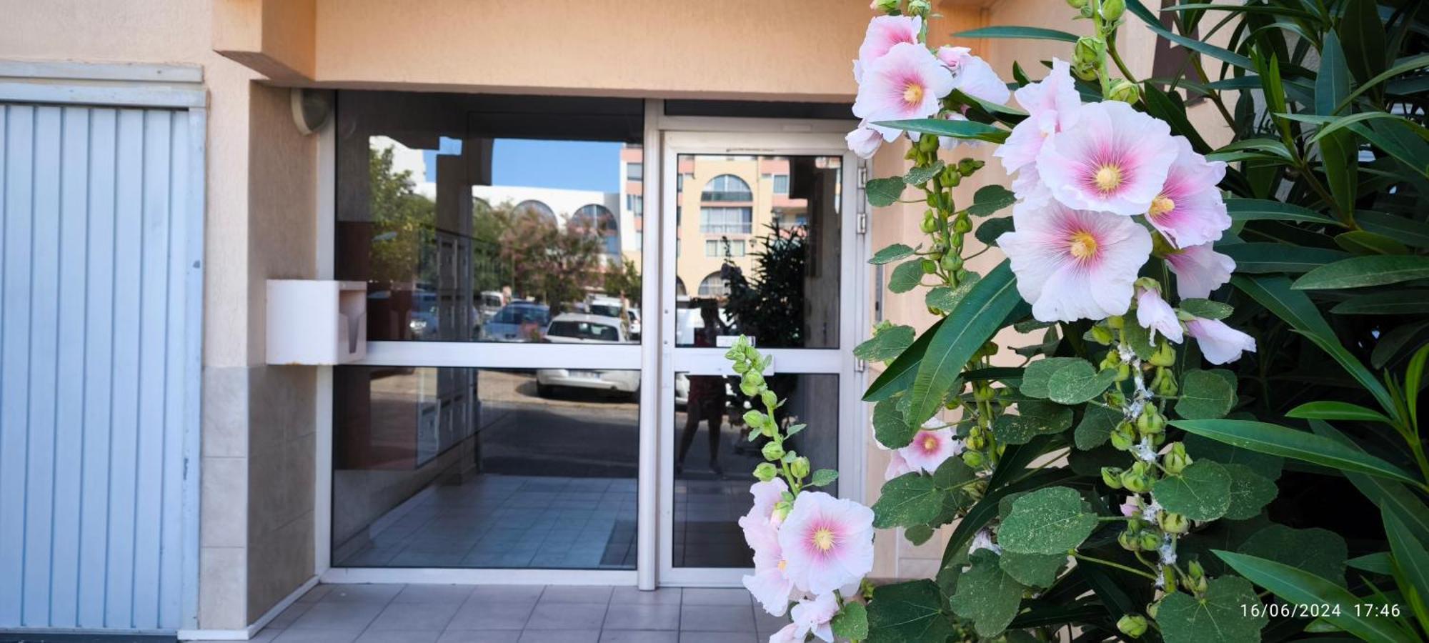 La Perle Marine, Cosy Et Renove, 200 M De La Plage, 1 Chambre, Parking Et Wifi Sète Exterior foto
